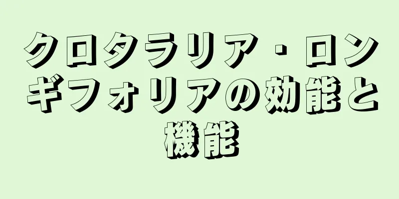 クロタラリア・ロンギフォリアの効能と機能