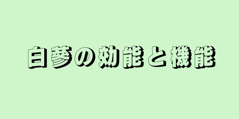 白蔘の効能と機能