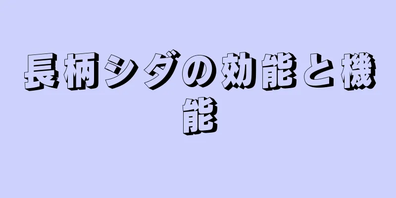 長柄シダの効能と機能
