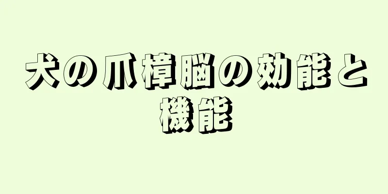 犬の爪樟脳の効能と機能