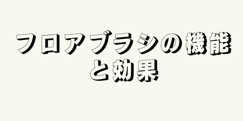 フロアブラシの機能と効果