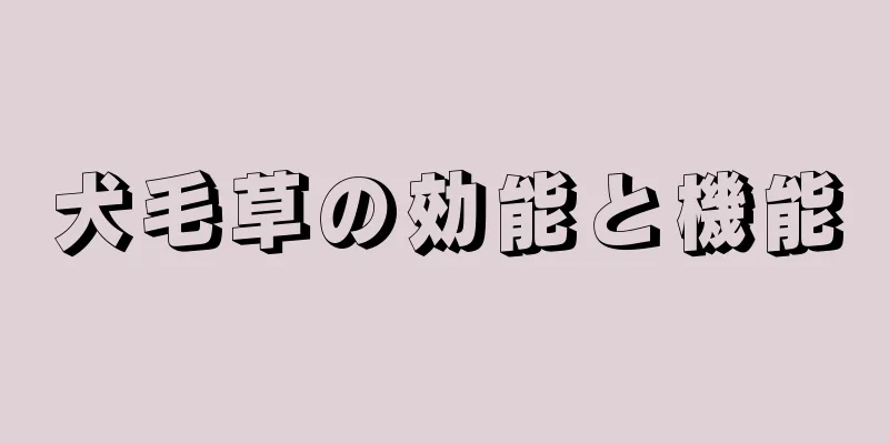 犬毛草の効能と機能