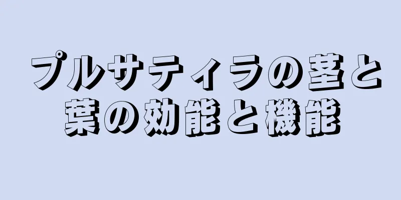 プルサティラの茎と葉の効能と機能