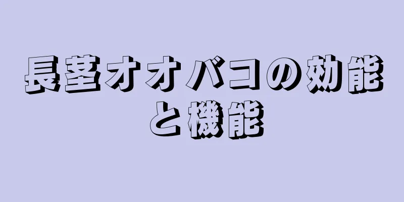 長茎オオバコの効能と機能