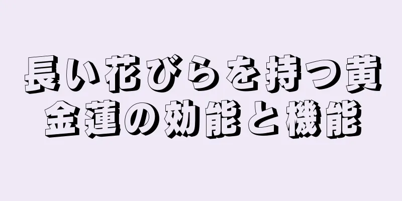 長い花びらを持つ黄金蓮の効能と機能
