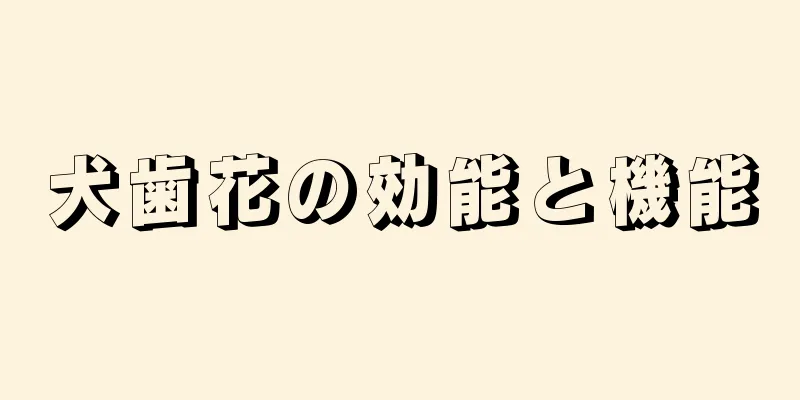 犬歯花の効能と機能
