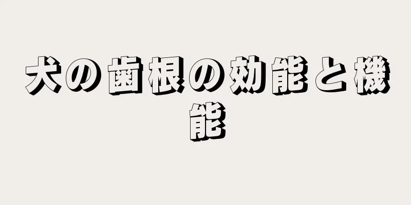 犬の歯根の効能と機能