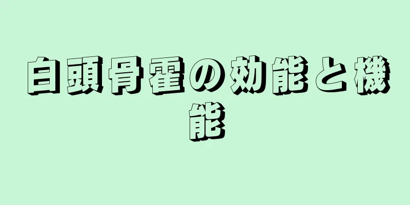 白頭骨霍の効能と機能
