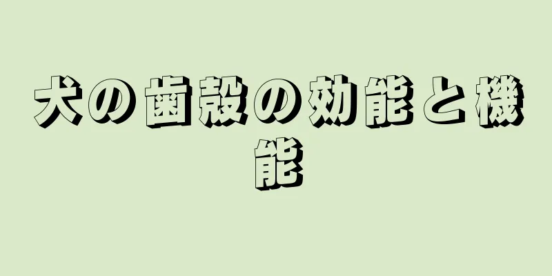 犬の歯殻の効能と機能