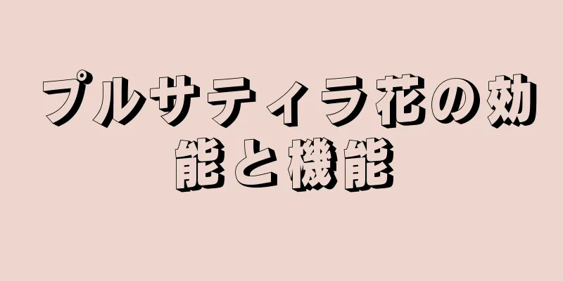 プルサティラ花の効能と機能