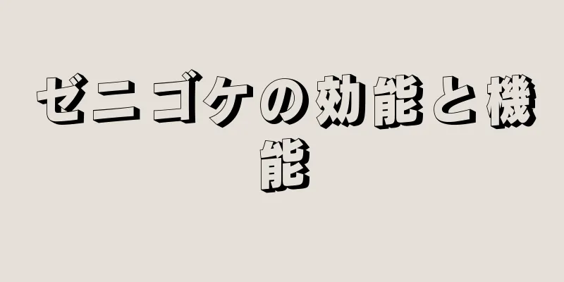 ゼニゴケの効能と機能