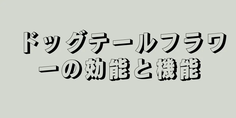 ドッグテールフラワーの効能と機能