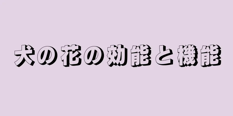 犬の花の効能と機能