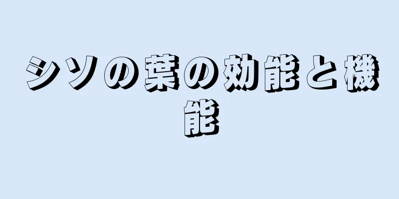 シソの葉の効能と機能