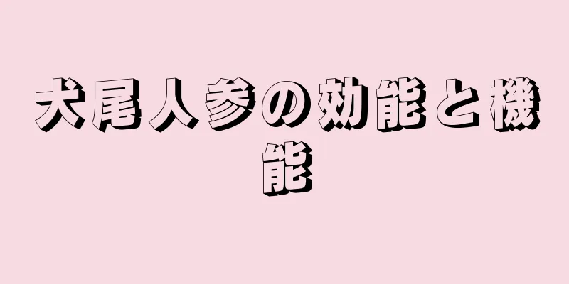 犬尾人参の効能と機能