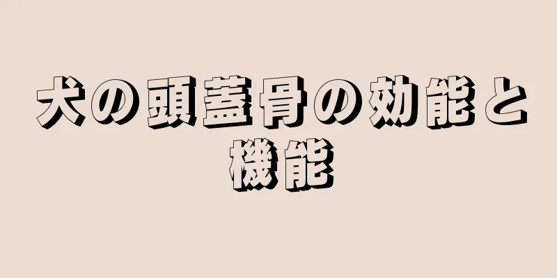 犬の頭蓋骨の効能と機能