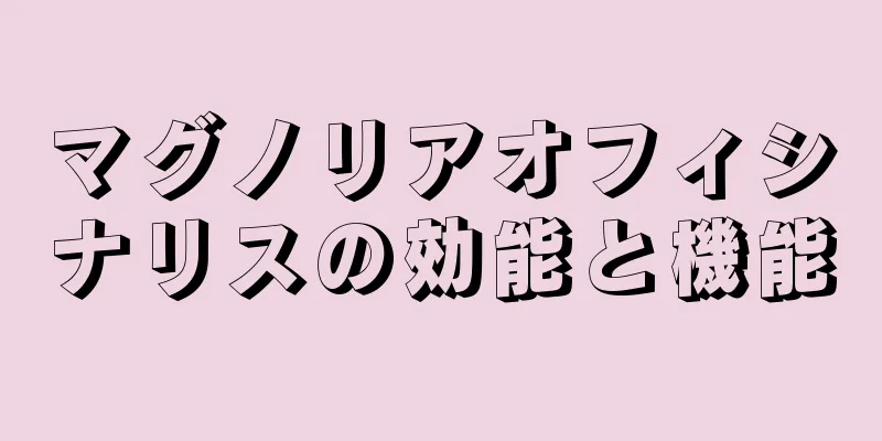 マグノリアオフィシナリスの効能と機能