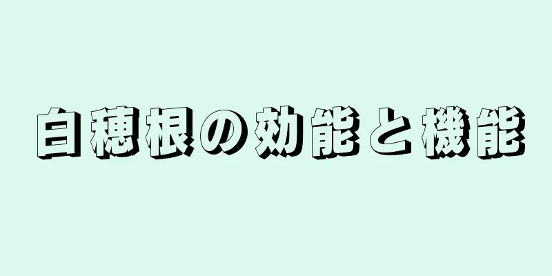 白穂根の効能と機能