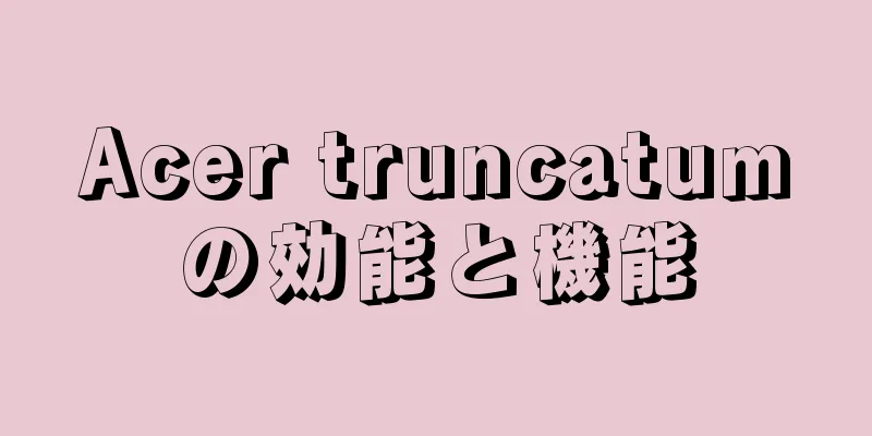 Acer truncatumの効能と機能