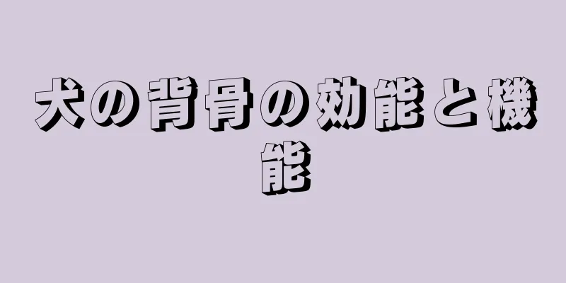 犬の背骨の効能と機能