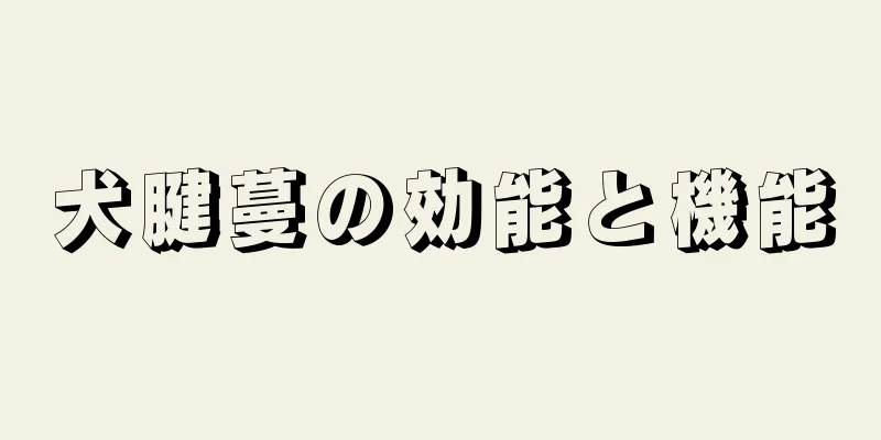犬腱蔓の効能と機能
