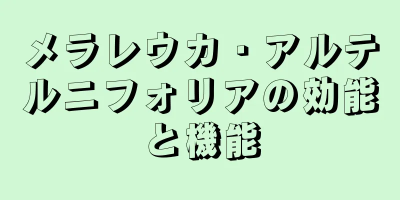 メラレウカ・アルテルニフォリアの効能と機能