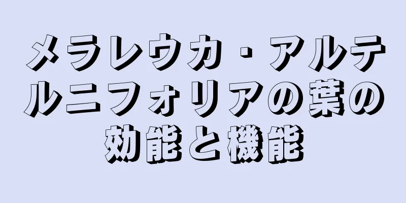 メラレウカ・アルテルニフォリアの葉の効能と機能