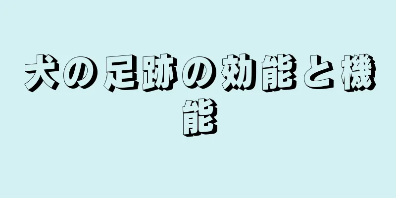 犬の足跡の効能と機能