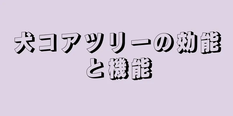犬コアツリーの効能と機能