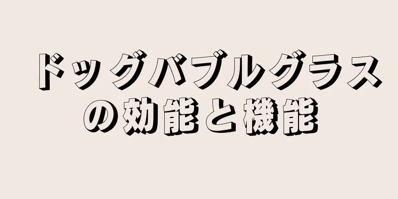 ドッグバブルグラスの効能と機能