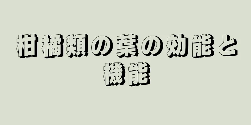 柑橘類の葉の効能と機能