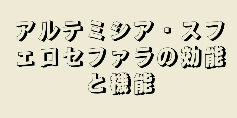 アルテミシア・スフェロセファラの効能と機能
