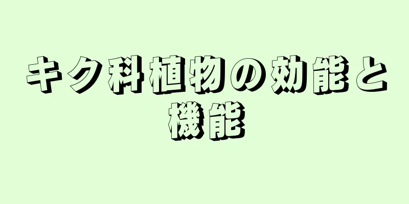 キク科植物の効能と機能