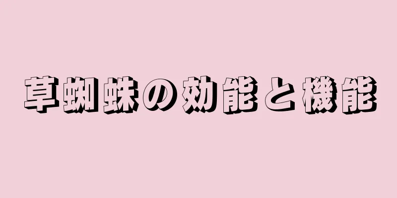 草蜘蛛の効能と機能