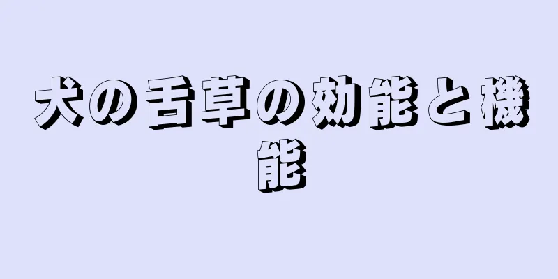 犬の舌草の効能と機能