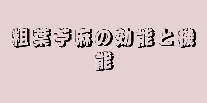 粗葉苧麻の効能と機能