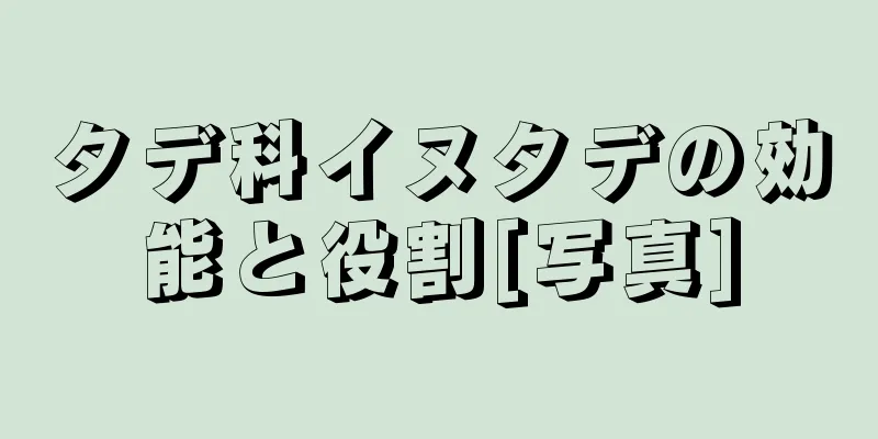 タデ科イヌタデの効能と役割[写真]