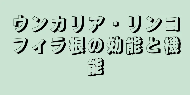 ウンカリア・リンコフィラ根の効能と機能