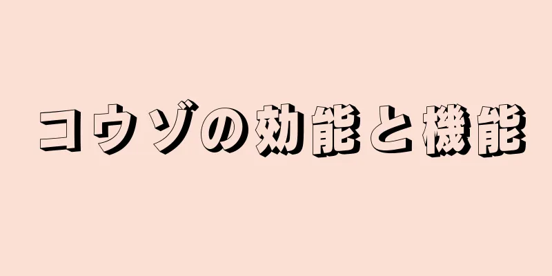 コウゾの効能と機能