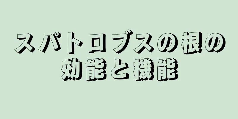 スパトロブスの根の効能と機能
