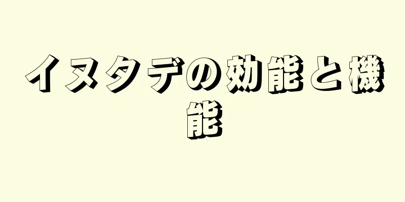 イヌタデの効能と機能