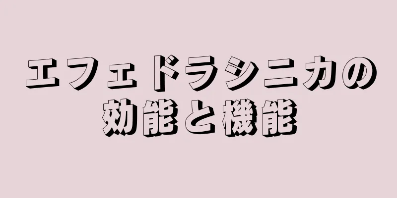 エフェドラシニカの効能と機能