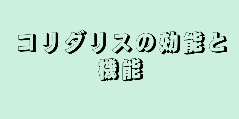 コリダリスの効能と機能