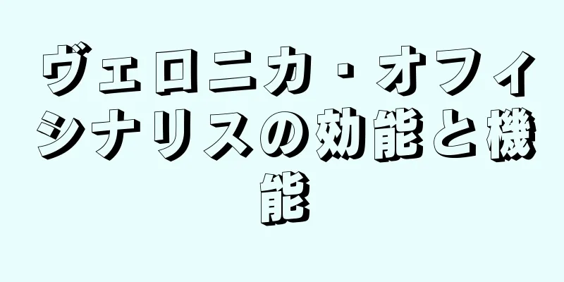 ヴェロニカ・オフィシナリスの効能と機能
