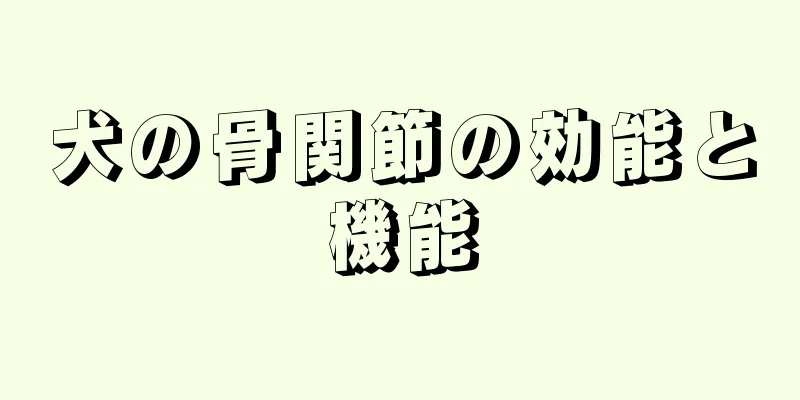 犬の骨関節の効能と機能
