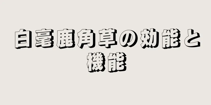 白毫鹿角草の効能と機能
