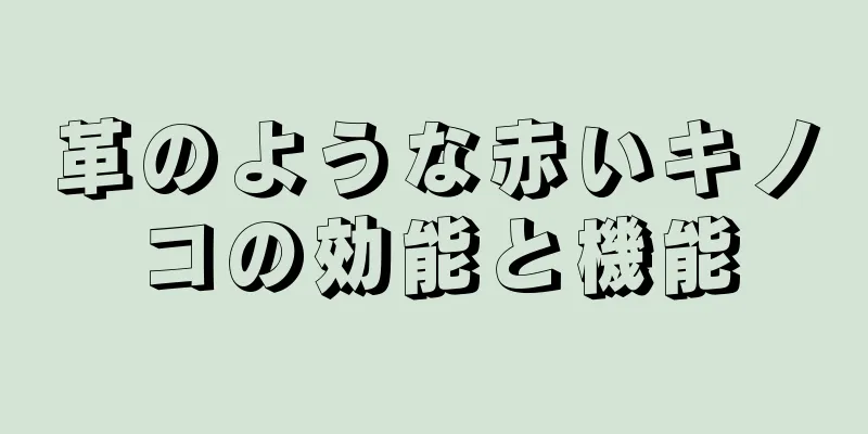 革のような赤いキノコの効能と機能