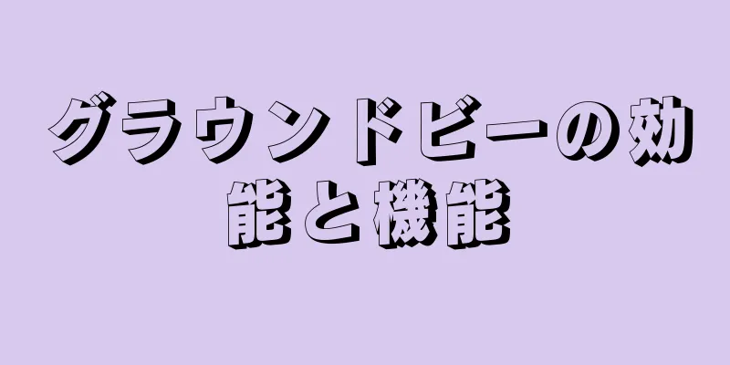 グラウンドビーの効能と機能