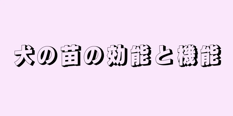 犬の苗の効能と機能
