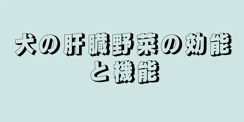 犬の肝臓野菜の効能と機能